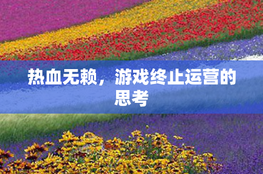 热血无赖，游戏终止运营的思考