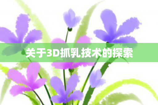 关于3D抓乳技术的探索