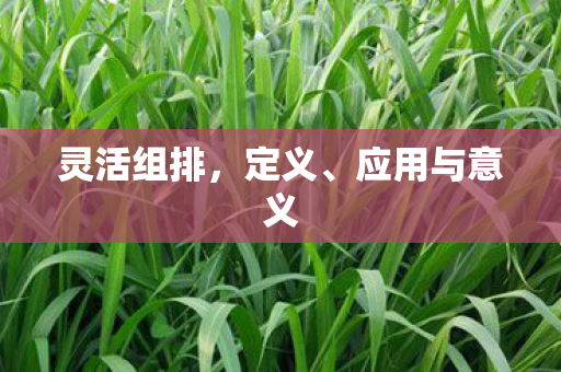 灵活组排，定义、应用与意义