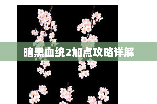 暗黑血统2加点攻略详解