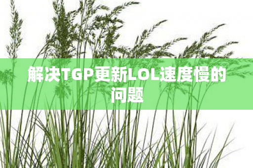 解决TGP更新LOL速度慢的问题