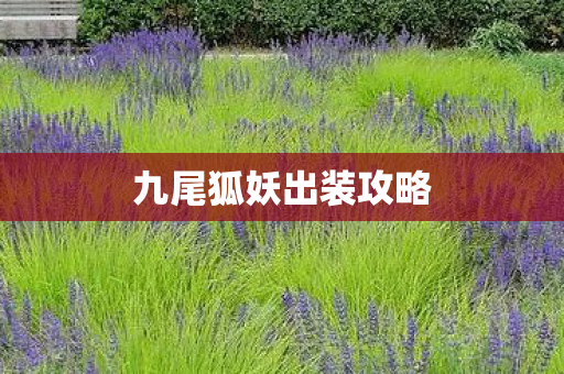 九尾狐妖出装攻略