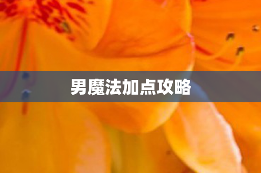 男魔法加点攻略