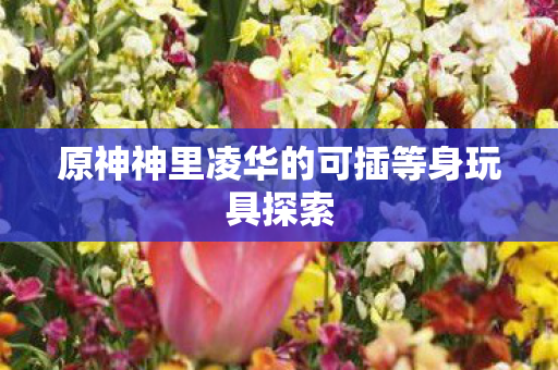 原神神里凌华的可插等身玩具探索