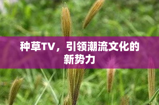 种草TV，引领潮流文化的新势力