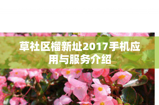 草社区榴新址2017手机应用与服务介绍