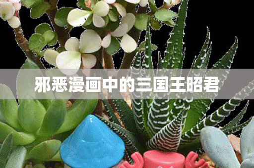 邪恶漫画中的三国王昭君