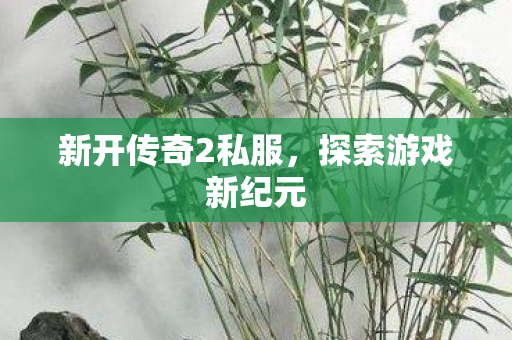新开传奇2私服，探索游戏新纪元