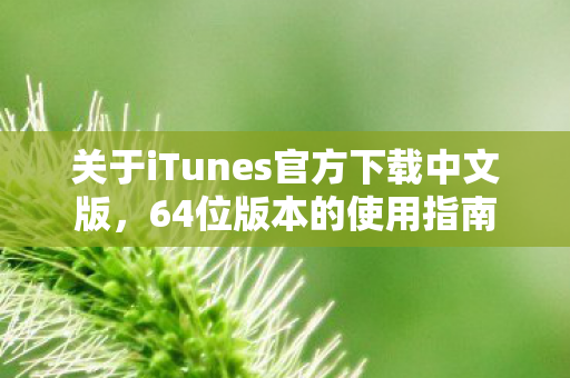 关于iTunes官方下载中文版，64位版本的使用指南