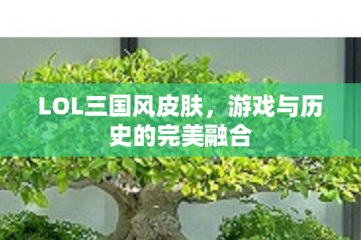 LOL三国风皮肤，游戏与历史的完美融合