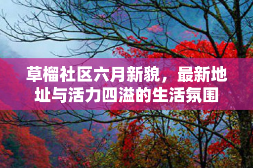 草榴社区六月新貌，最新地址与活力四溢的生活氛围