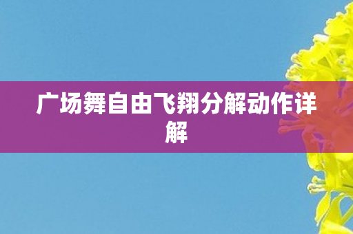 广场舞自由飞翔分解动作详解