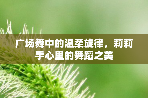 广场舞中的温柔旋律，莉莉手心里的舞蹈之美