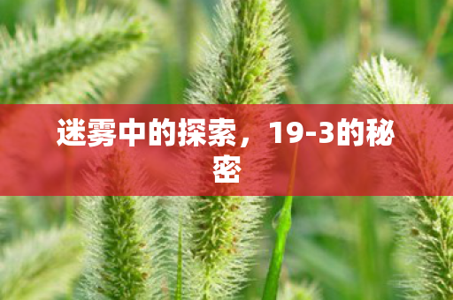 迷雾中的探索，19-3的秘密