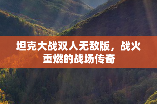 坦克大战双人无敌版，战火重燃的战场传奇