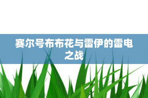 赛尔号布布花与雷伊的雷电之战
