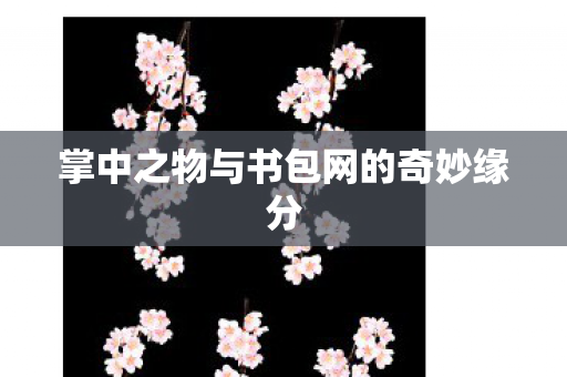 掌中之物与书包网的奇妙缘分