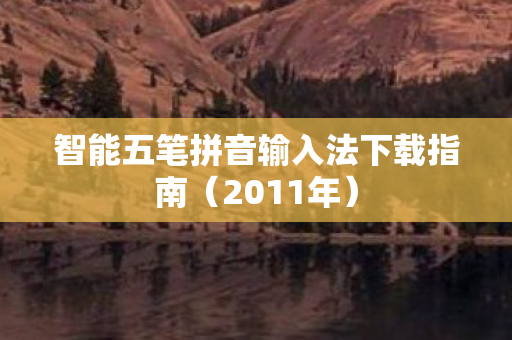 智能五笔拼音输入法下载指南（2011年）