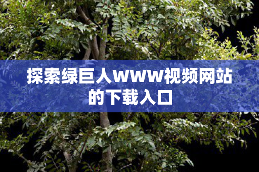 探索绿巨人WWW视频网站的下载入口