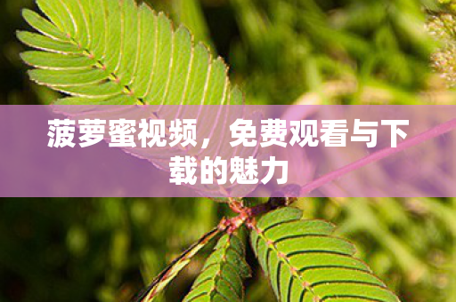 菠萝蜜视频，免费观看与下载的魅力