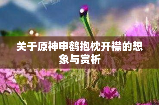 关于原神申鹤抱枕开襟的想象与赏析