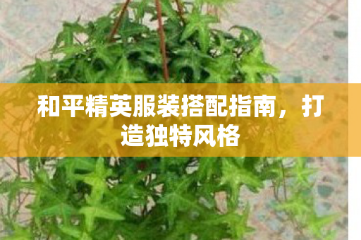 和平精英服装搭配指南，打造独特风格