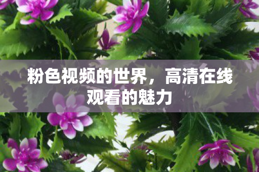 粉色视频的世界，高清在线观看的魅力