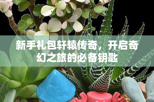 新手礼包轩辕传奇,开启奇幻之旅的必备钥匙 新手礼包轩辕传奇,开启奇幻之旅的必备钥匙