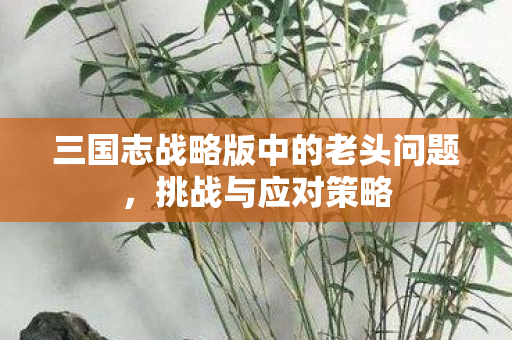 三国志战略版中的老头问题，挑战与应对策略