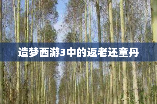 造梦西游3中的返老还童丹