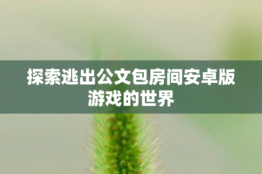 探索逃出公文包房间安卓版游戏的世界