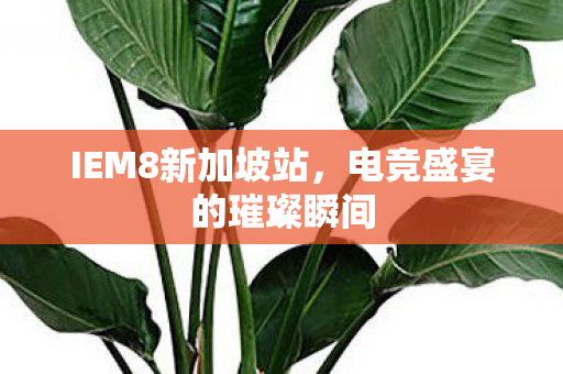 IEM8新加坡站，电竞盛宴的璀璨瞬间