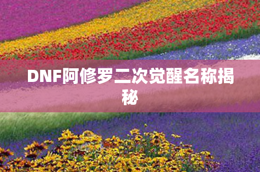 DNF阿修罗二次觉醒名称揭秘
