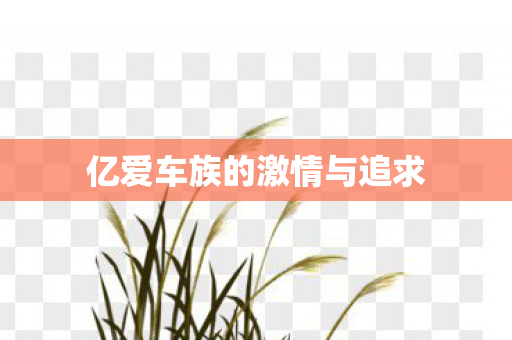 亿爱车族的激情与追求