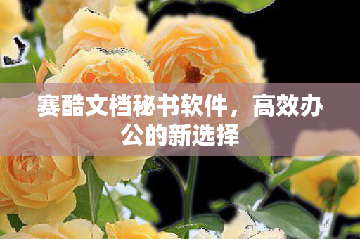赛酷文档秘书软件，高效办公的新选择