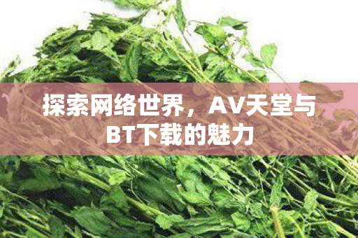 探索网络世界，AV天堂与BT下载的魅力