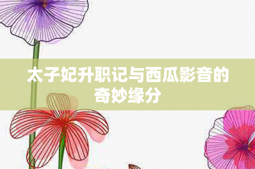 太子妃升职记与西瓜影音的奇妙缘分