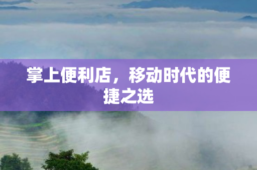 掌上便利店，移动时代的便捷之选