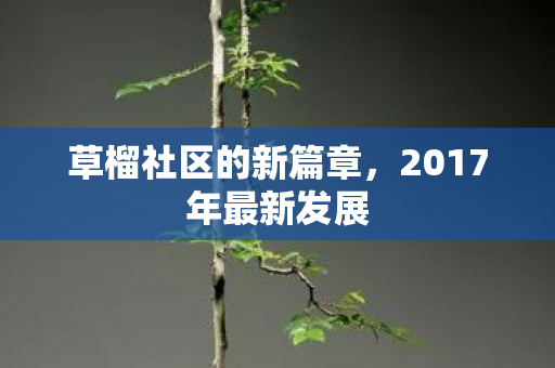 草榴社区的新篇章，2017年最新发展