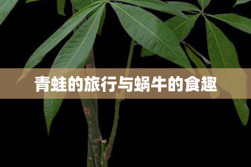 青蛙的旅行与蜗牛的食趣