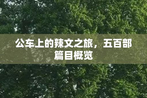 公车上的辣文之旅，五百部篇目概览