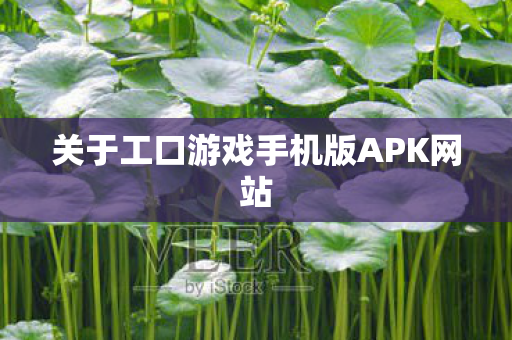关于工口游戏手机版APK网站