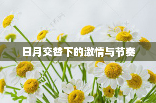 日月交替下的激情与节奏