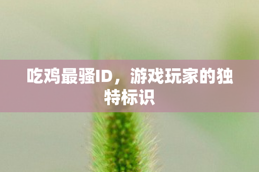 吃鸡最骚ID，游戏玩家的独特标识