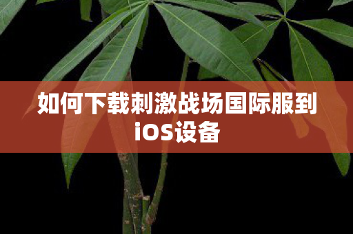 如何下载刺激战场国际服到iOS设备