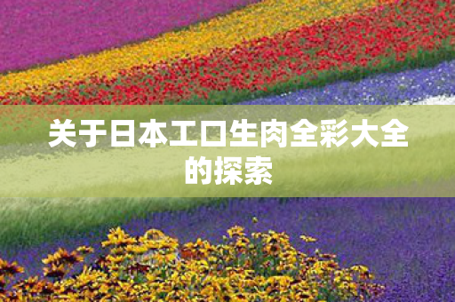 关于日本工口生肉全彩大全的探索