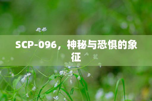 SCP-096，神秘与恐惧的象征