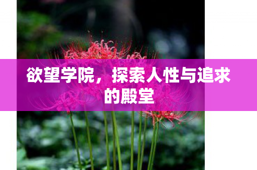 欲望学院，探索人性与追求的殿堂