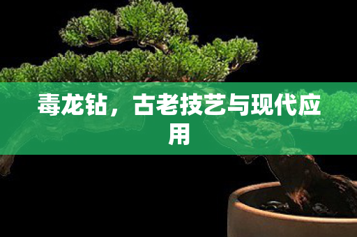 毒龙钻，古老技艺与现代应用