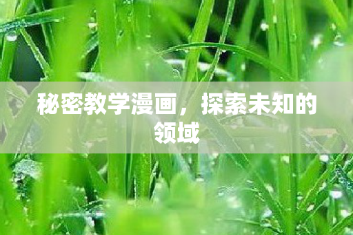 秘密教学漫画，探索未知的领域